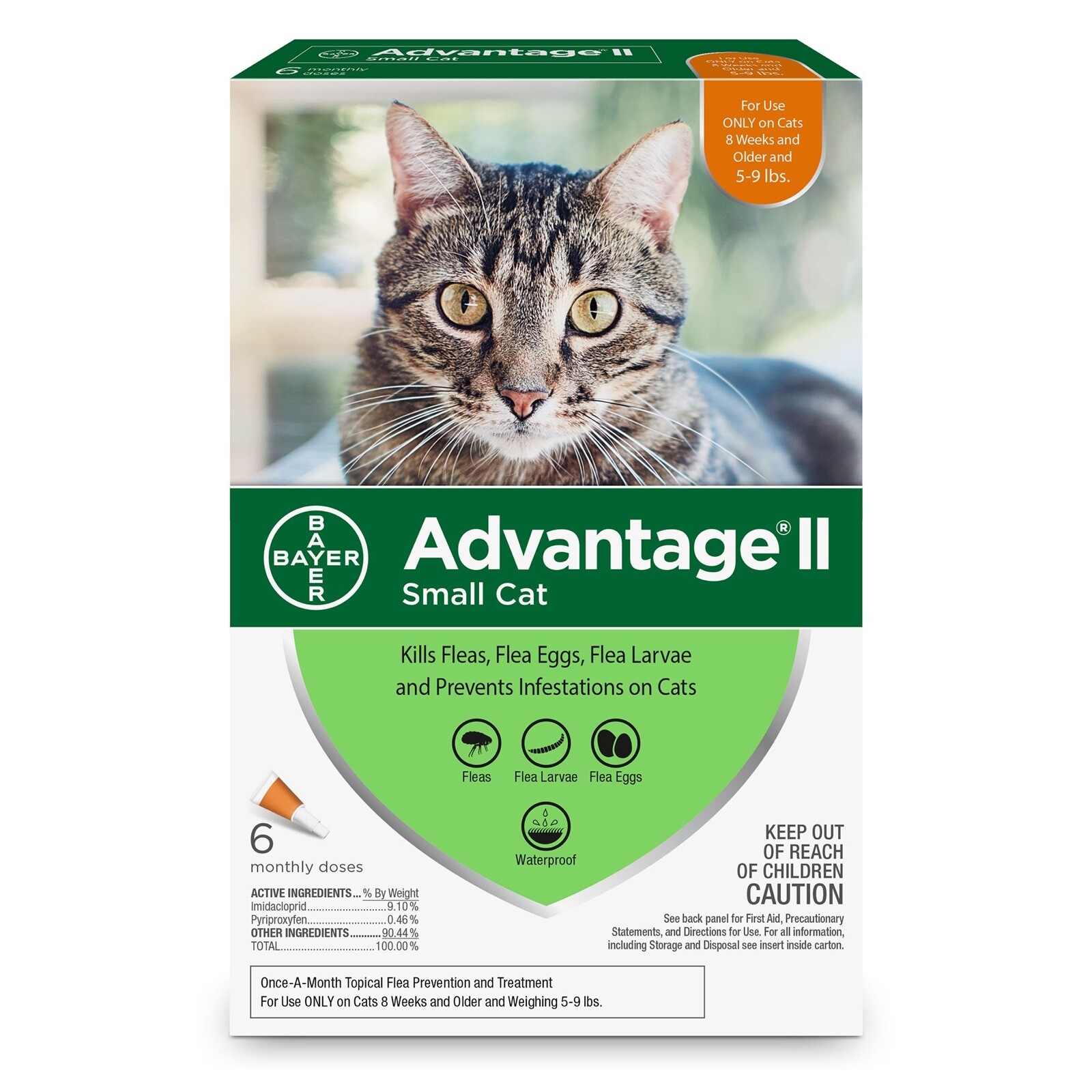 ebay advantage for dogs