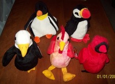 Lot of 6 Ty Beanie Baby Birds Lot 1- Details below on Bird Info