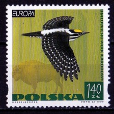 POLAND 1999 **MNH SC#3454 EUROPA CEPT (X)
