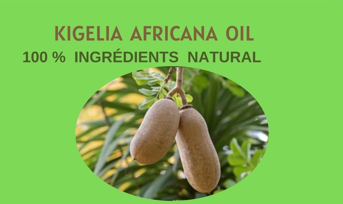 Huile De Kigelia Africana - Soin Stimulant Et Tonifiant Pénis - 200 Ml - Produit Naturel Du Bénin
