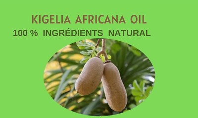 Huile De Kigelia Bazooka - Mélange écorce & Racine - 100 Ml - 100% Concentré - Fabriqué En Allemagne