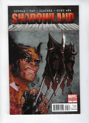 Shadowland # 5 Marvel Comics Christoper 1:25 Variant Cover Jan 2011 NM-