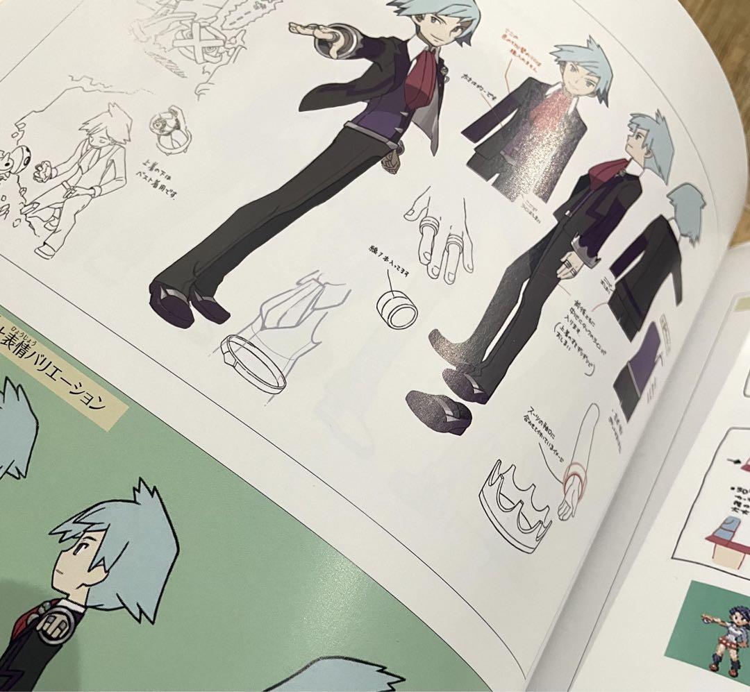 Pokemon Omega Ruby and Pokemon Alpha Sapphire New Hoenn ART