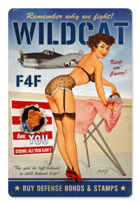 Grumman F4F Wildcat Jagdflugzeug 2. WK USA Pin Up Retro Sign Blechschild Schild