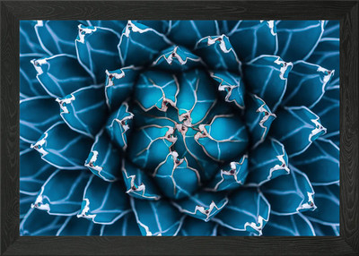 Agave Kaktus gerahmtes Wandbild Poster Leinwanddruck Bild