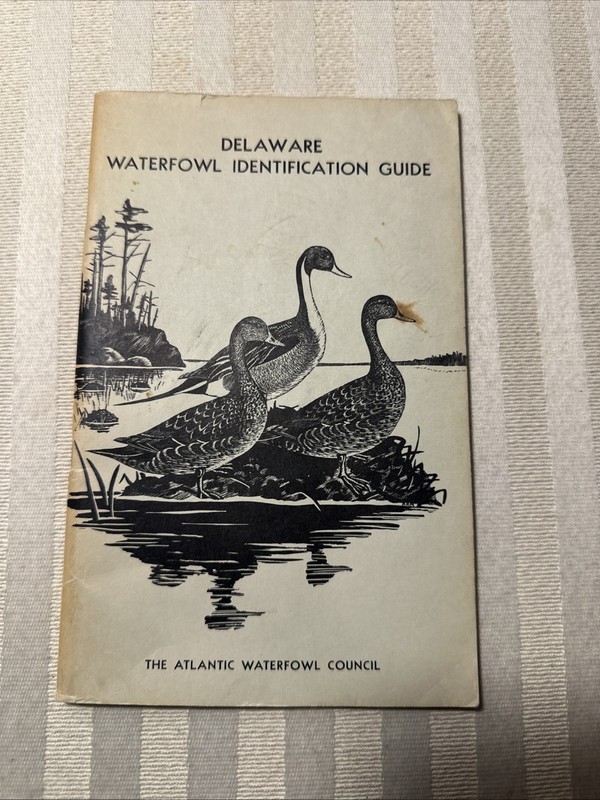 1962 Atlantic Waterfowl Council Pennsylvania Identification Guide 52 Pg. Booklet