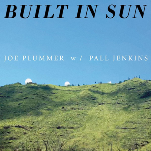 Built in Sun Built in Sun (Vinyl LP) 12" Album