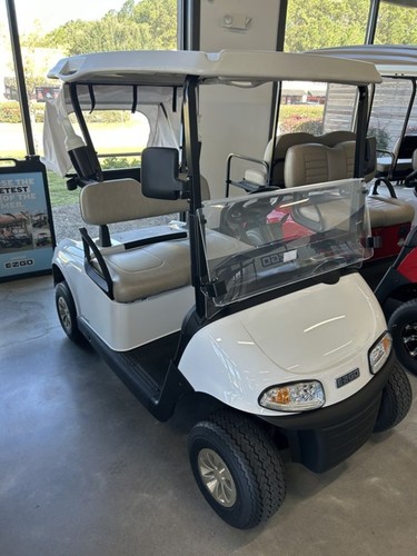 2019 E-Z-GO Freedom RXV for sale!
