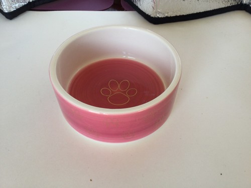 CERAMIC PAWS DOG WATER FOOD BOWL GOLD/PINK SMALL APPROX 12CM - Picture 4 of 4