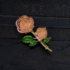 Bild 6 von 23