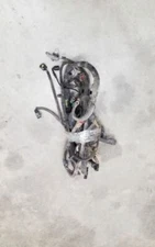 F250SD    2000 Engine Wire Harness 234255