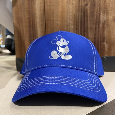 Disney Parks Wishes Come True Blue 