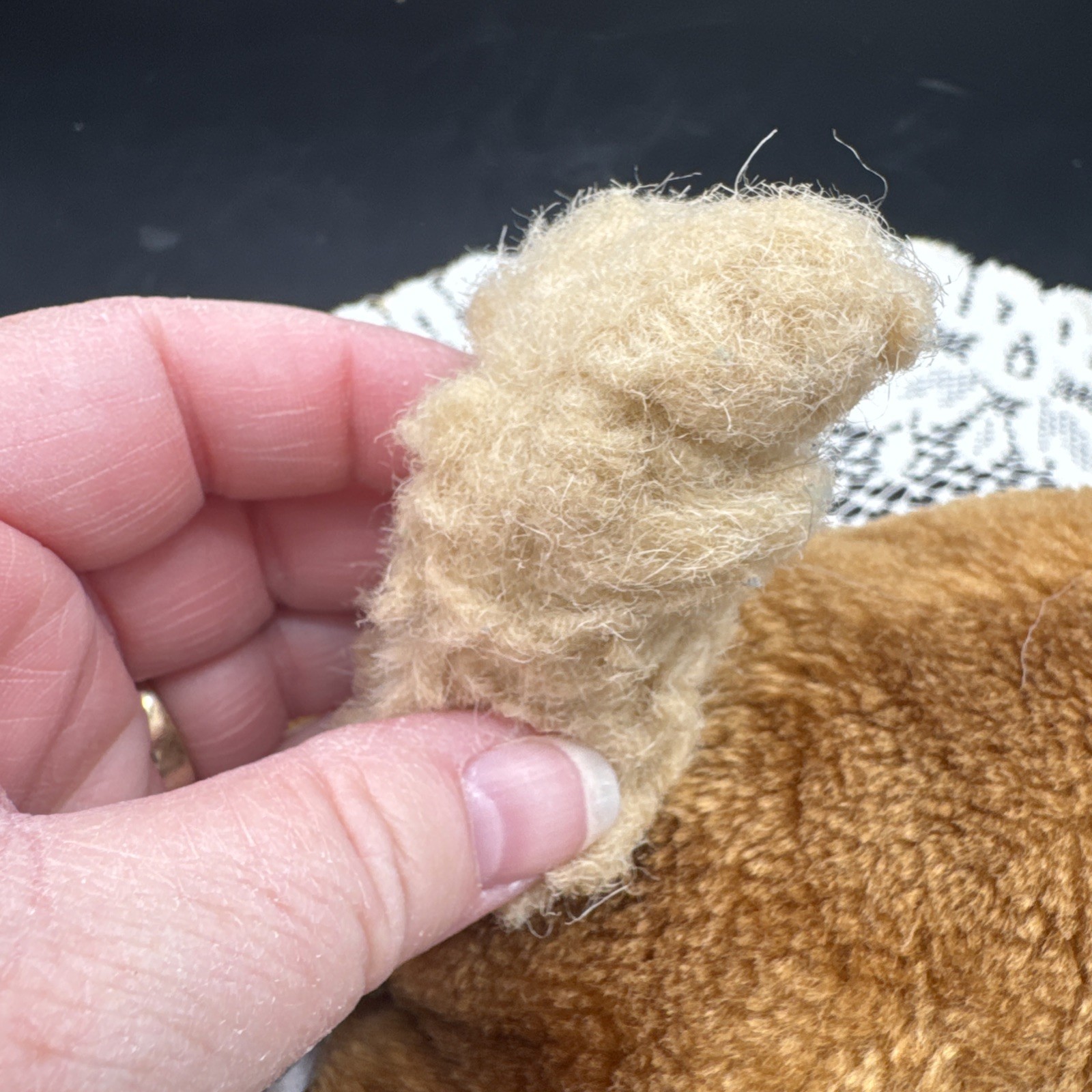 1993 Vtg 24K WILE E. COYOTE Stuffed Plush Mighty Star Warner Bros 12in" *READ*