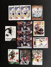 Dwayne Roloson 13 Card NHL Ice Hockey Trading Card Lot Wild Flames Oilers Bolts