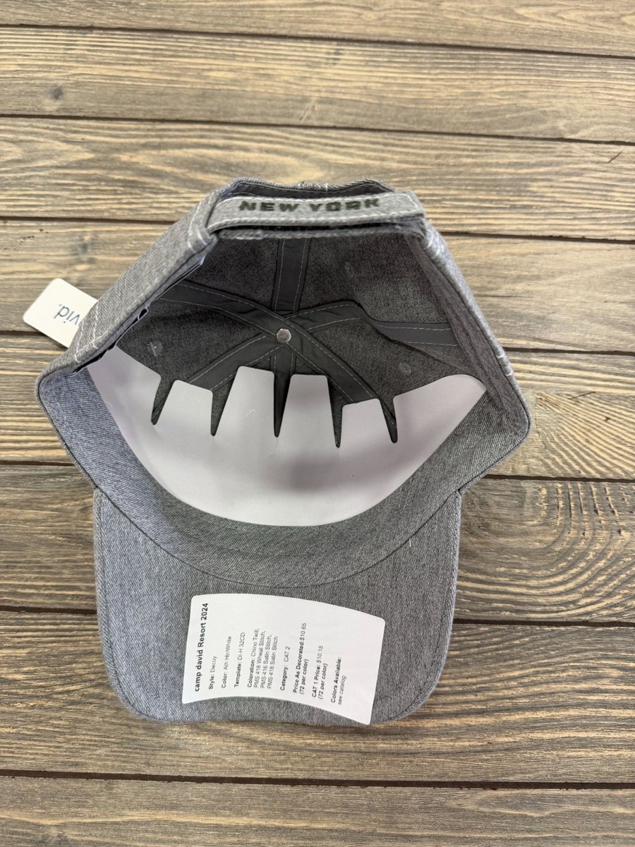 Adirondacks Gray Baseball Cap With Embroidered Fish Logo