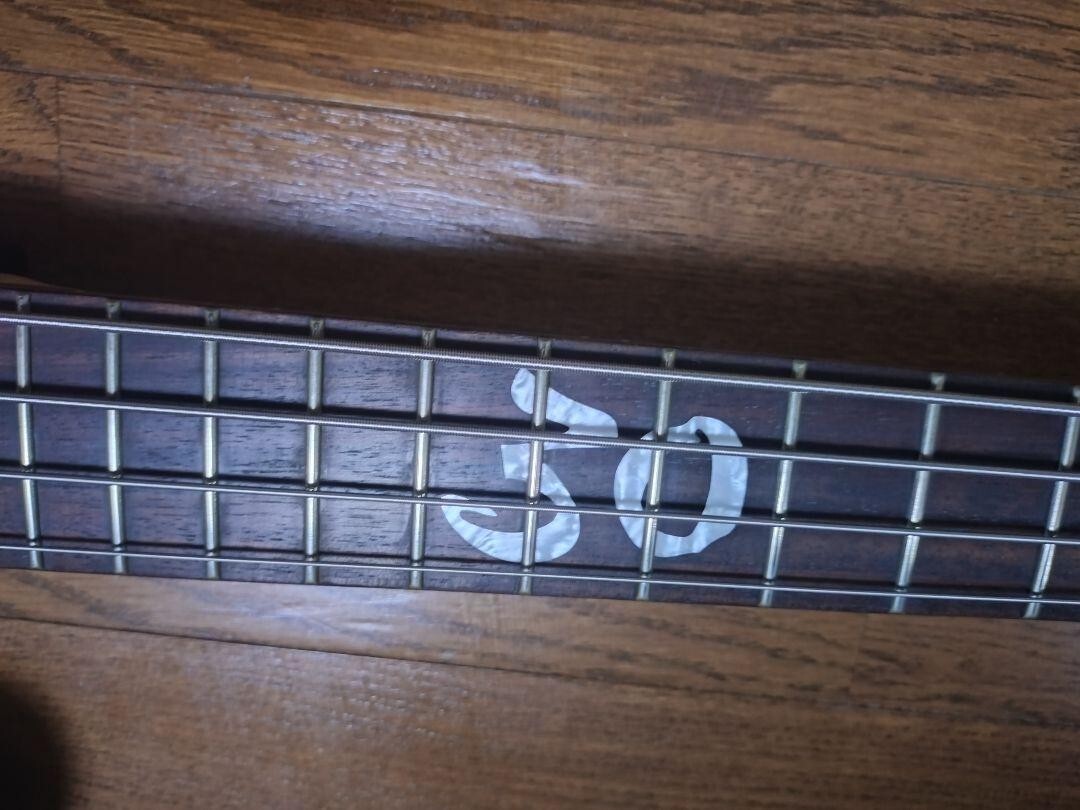 Warwick The W Bass E-Bassgitarre mit SC aus Japan | eBay