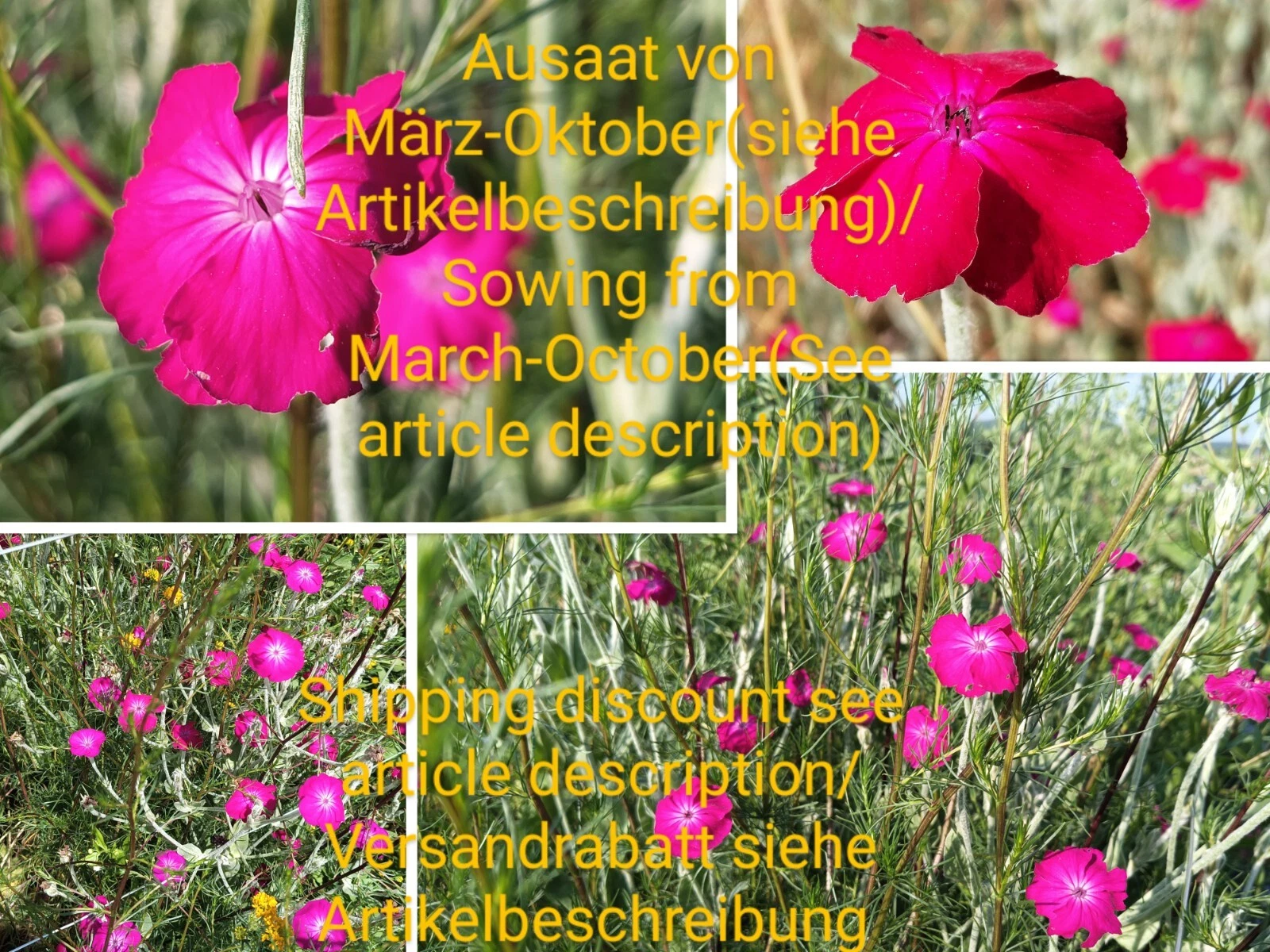 Bild 1 von 17