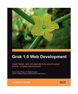 Grok 1.0 Web Development, Carlos Guardia