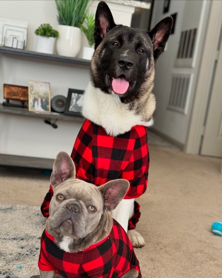 Wondershop Black/Red Buffalo Check Matching Family Medium Dog Pajamas