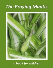 The Praying Mantis - a book for children: The tiny hunter (The wonderful world o