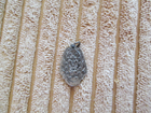 Picture 2 of 6
