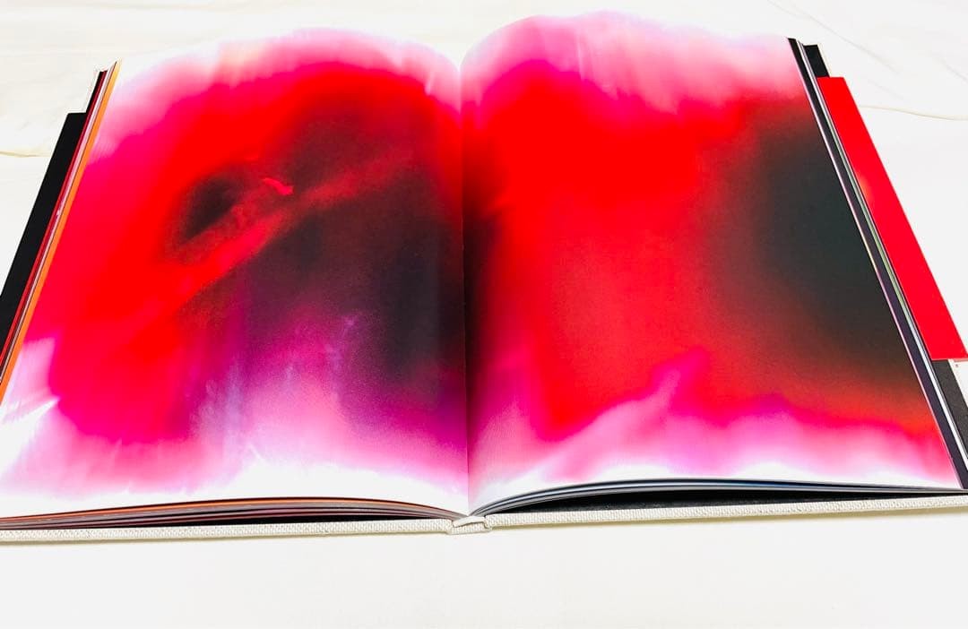 Abandom Reverie Mark Borthwick Photography Book Art Exhibition New