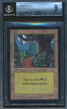 Beta Forest BGS 9 Graded Magic MTG (4756) -magicgraders-