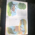 Picture 8 of 8