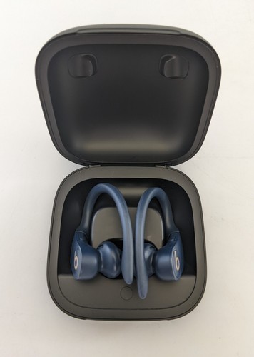 Beats by Dr. Dre Powerbeats Pro In-Ear Wireless Headphones - Blue