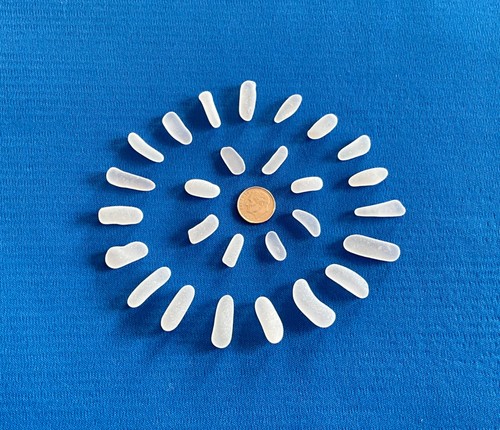 Beach Sea Glass 25 Pieces White Tapers or Sticks Surf-tumbled Mendocino CA