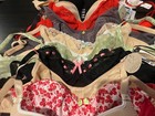 NWT-Bras for women-Set of 13- Size 32D, Curvy Kate, Freya, Hint 8 and More — photo 2