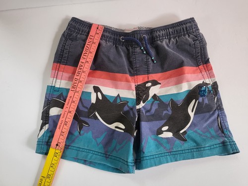 Boy PARTY PANTS Shorts L Dolphin Print Summer Fun Beach Wear Unique - Picture 5 of 8