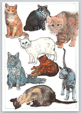 Postcard Francoise Pesse Cat Studies Illustration French Art Cats