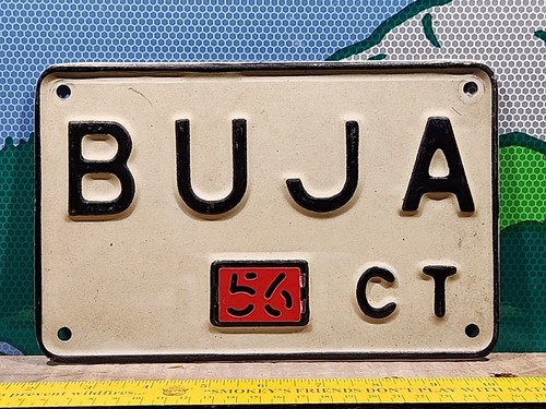 1956 Connecticut Vanity License Plate BUJA Authentic Original Personalized Tag