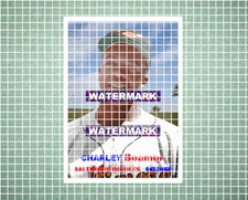 Charley Beamon Baltimore Orioles 1957 Style Custom Baseball Art Card