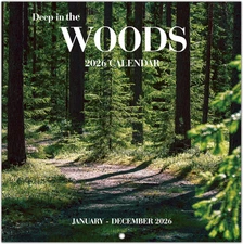 2026 Calendar -12 Monthly Square Wall Calendar 2026, January - December 2026, 11