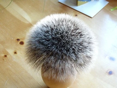 Großer Dachsbart  Haarlänge 10,5 cm - Bild 1 von 4