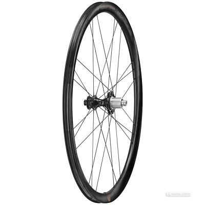 Campagnolo BORA ULTRA WTO 33 Disc Brake Carbon 2-Way Fit : REAR