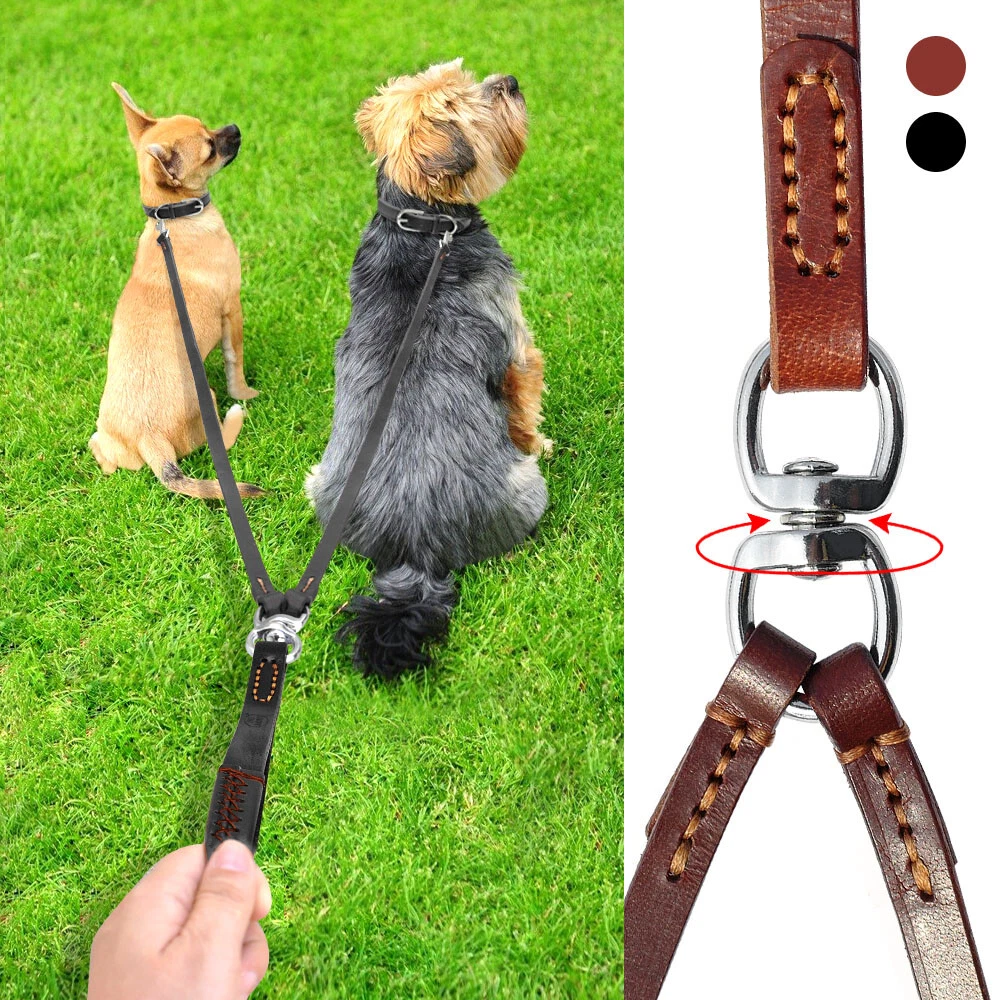 Double leashing cheap a dog