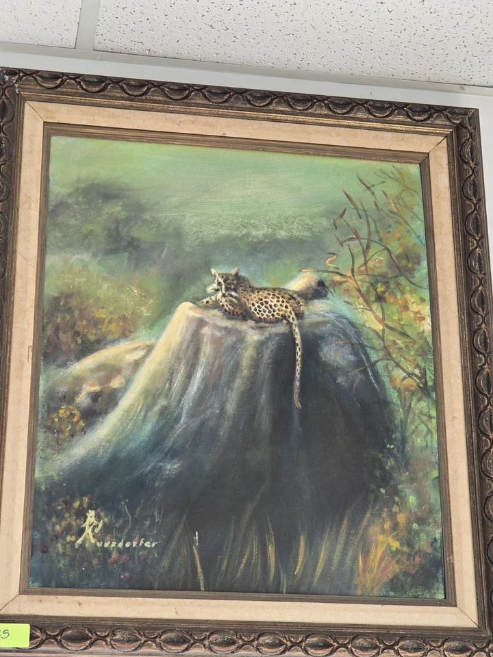 Large Framed Oil Painting of a Leopard In the Wild . - Image 2 of 2