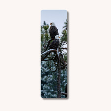 Eagles Wildlife Photography Bookmark for Books, Book Lover Gift, Laminated
