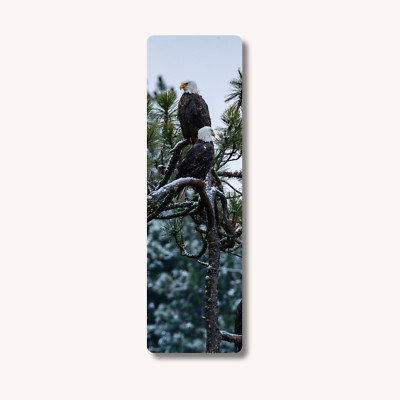Eagles Wildlife Photography Bookmark for Books, Book Lover Gift, Laminated
