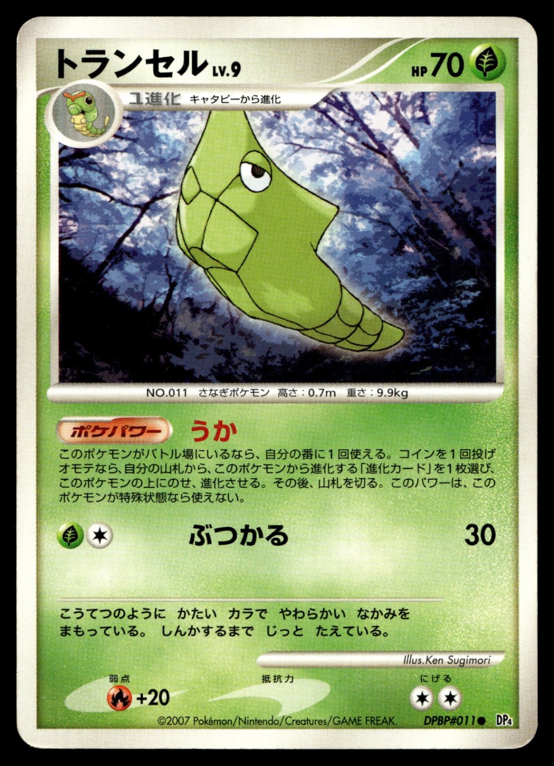 Metapod  DP4: Dawn Dash
