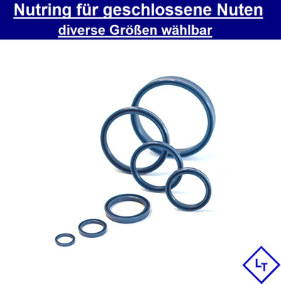 10EU Nutring f. Hydraulikzylinder 10 - 100 Innen Stangendichtung Kolben Dichtung