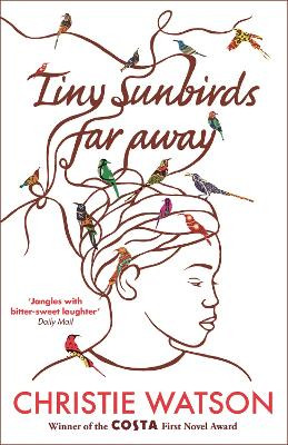 Tiny Sunbirds Far Away - 9781849163750