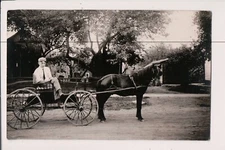 Vintage RPPC Young well dressed boy horse & buggy in Ohio 