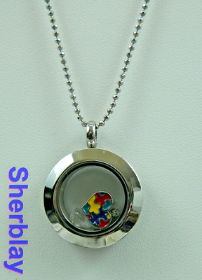 Origami Owl Floating Charms Crystals SilverTone Showcase Locket