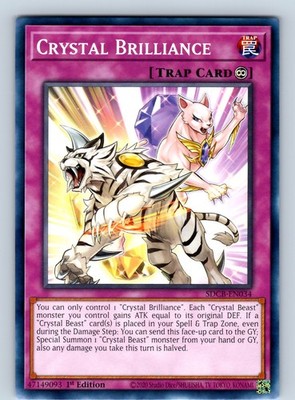 Crystal Brilliance Common 1st Edition SDCB-EN034 NM
