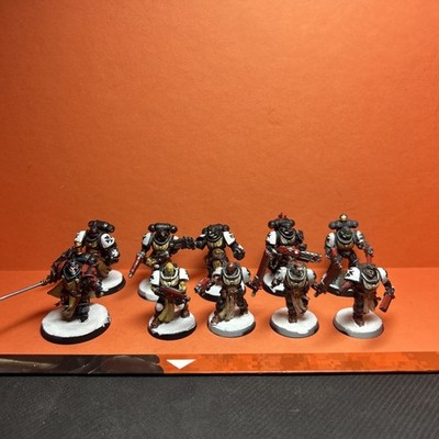Warhammer 40k Black Templars Primaris Crusader Squad Painted