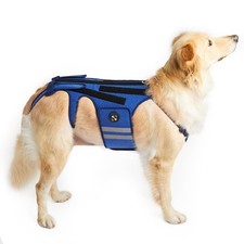 Coodeo Dog Back Brace for Arthritis, IVDD, Pain Relief & Recovery - Medium Blue